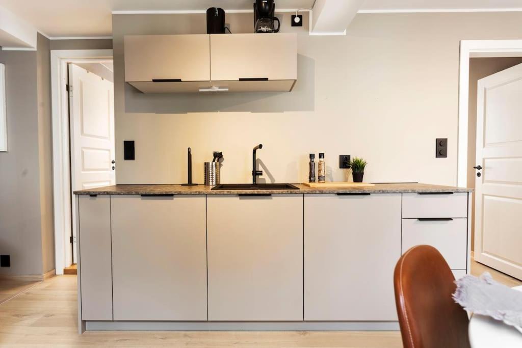New! Modern In Historic Area Of Bergen! Lejlighed